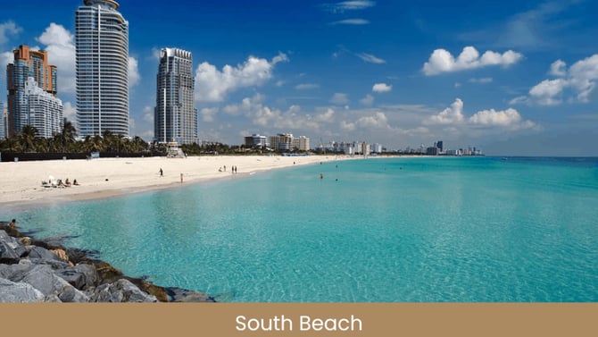 Explore The Top Things To Do In Miami